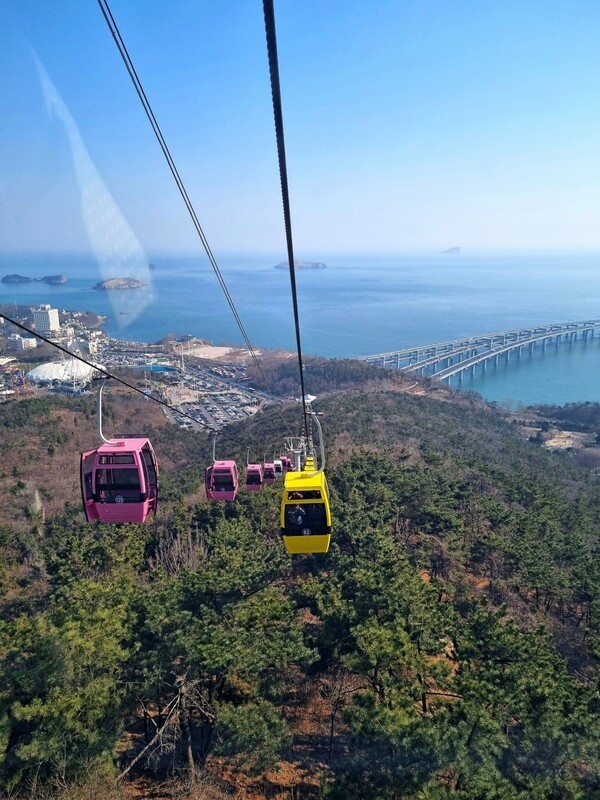 Dalian in a Day: 4 Must-Visit Spots in China’s Seaside City