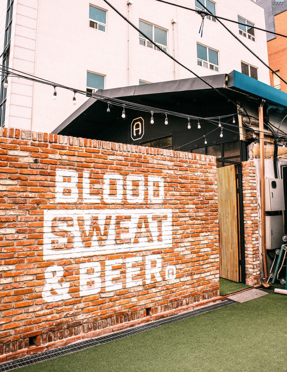 three-date-spots-only-seongsu-locals-know-beauty-plants-and-craft-beer
