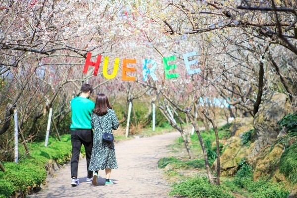 Jeju Weather in February: Between Early Spring Warmth and Sudden Cold Snaps